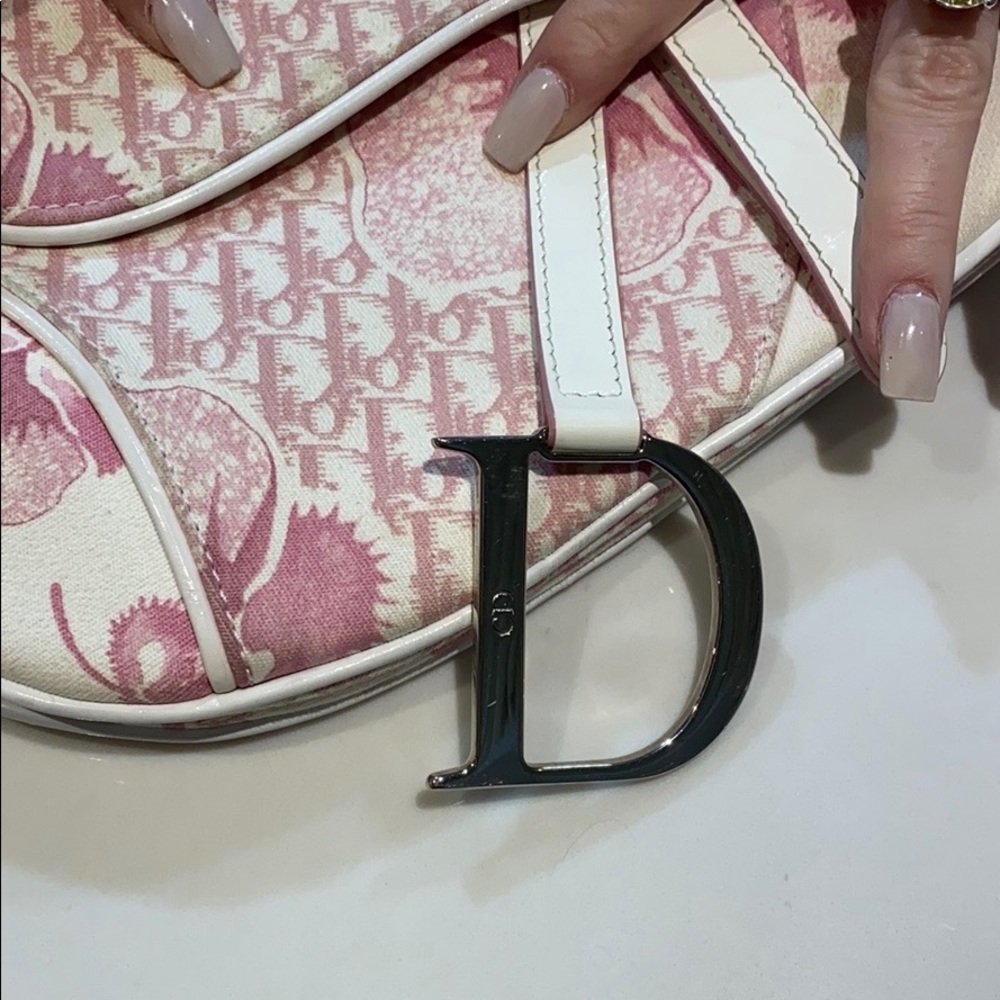 Dior saddle bag